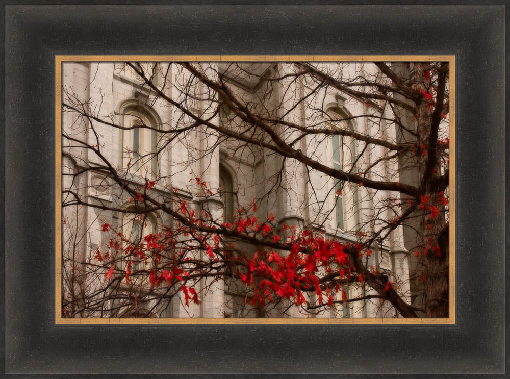 Salt Lake Temple - Amaranthine