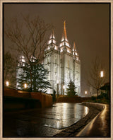 Salt Lake Temple - Rain Path