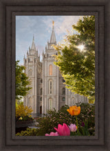 Salt Lake Temple - Springtime in Zion