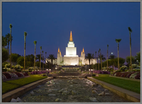 Oakland Temple - Night Stream