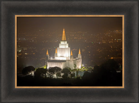 Oakland Temple - Night Vista