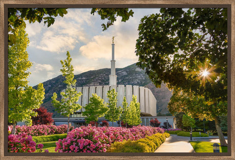 Provo Temple - Pink Roses