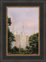 Washington DC Temple - Side Textured