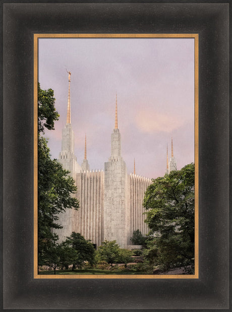 Washington DC Temple - Side Textured
