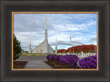 Boise Temple - Purple Flowers