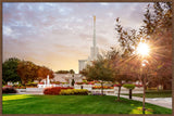 Denver Temple - Sunburst