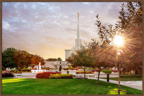 Denver Temple - Sunburst