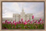 Bountiful Temple - Tulips