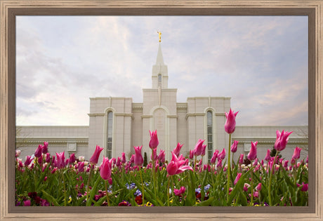 Bountiful Temple - Tulips