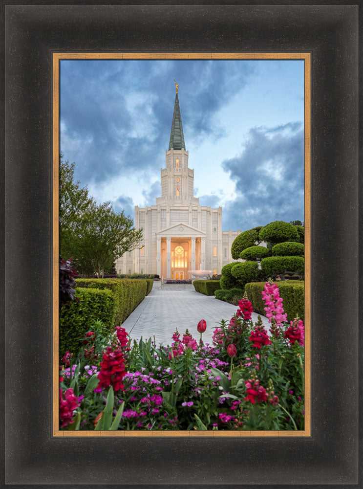 Houston Temple - Spring Tulips