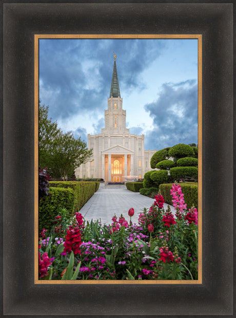 Houston Temple - Spring Tulips