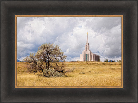 Oquirrh Mountain Temple - Tree and Field