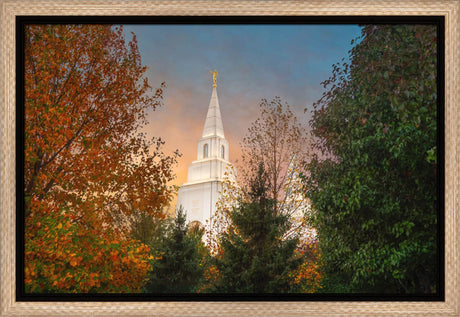 Kansas City Temple - Fall