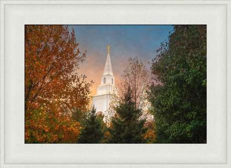 Kansas City Temple - Fall