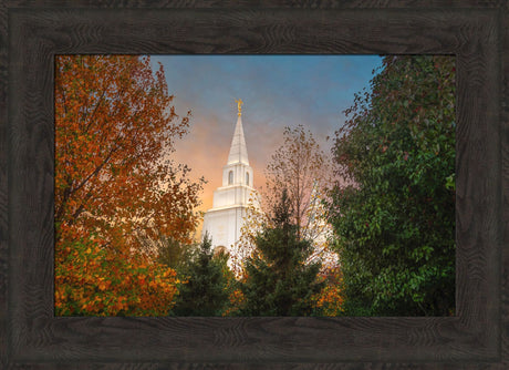 Kansas City Temple - Fall