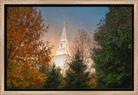 Kansas City Temple - Fall