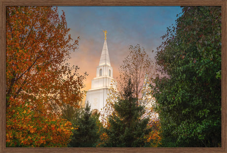 Kansas City Temple - Fall