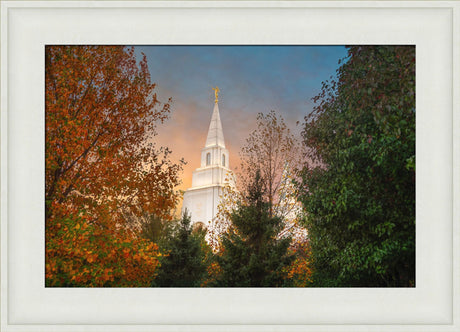 Kansas City Temple - Fall