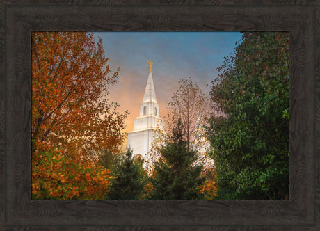 Kansas City Temple - Fall