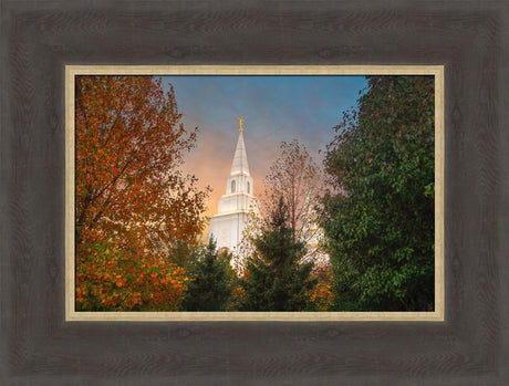 Kansas City Temple - Fall