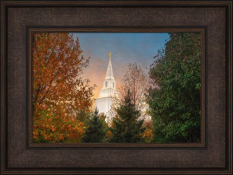 Kansas City Temple - Fall