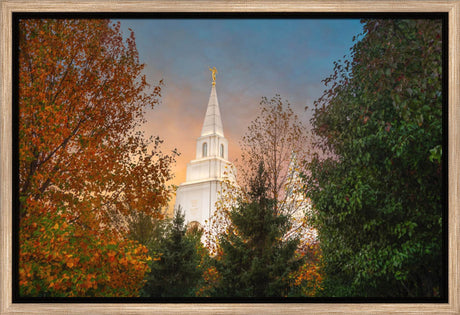Kansas City Temple - Fall