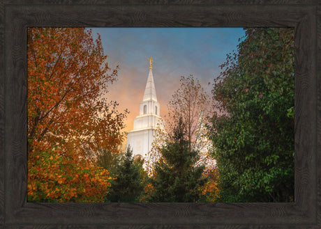 Kansas City Temple - Fall