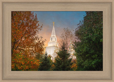 Kansas City Temple - Fall