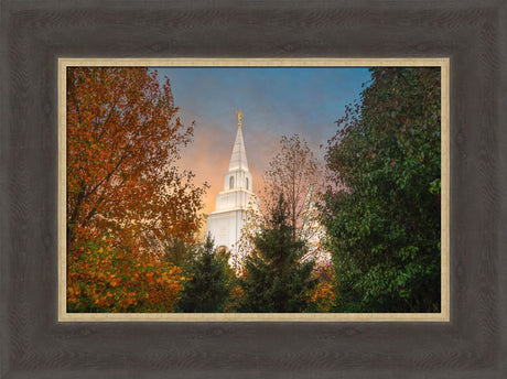 Kansas City Temple - Fall