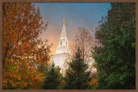 Kansas City Temple - Fall