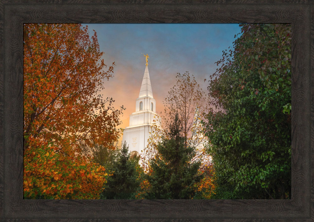 Kansas City Temple - Fall