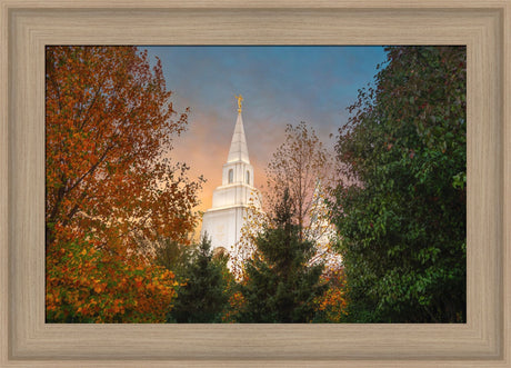Kansas City Temple - Fall
