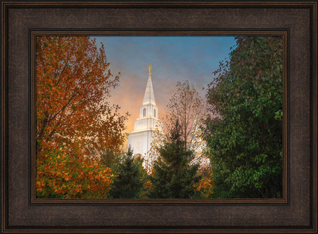 Kansas City Temple - Fall