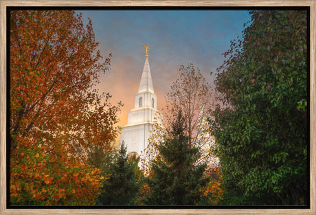 Kansas City Temple - Fall