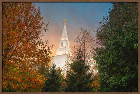 Kansas City Temple - Fall