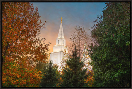 Kansas City Temple - Fall