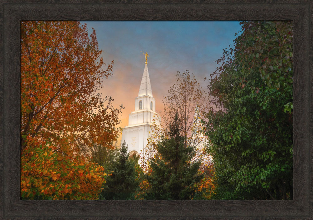 Kansas City Temple - Fall