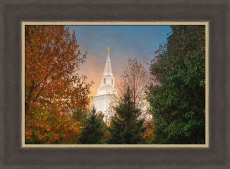 Kansas City Temple - Fall