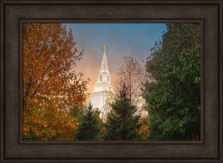 Kansas City Temple - Fall