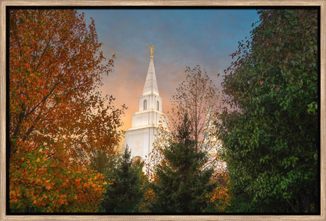 Kansas City Temple - Fall