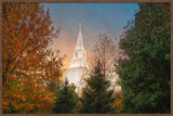 Kansas City Temple - Fall