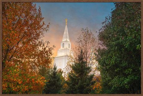 Kansas City Temple - Fall