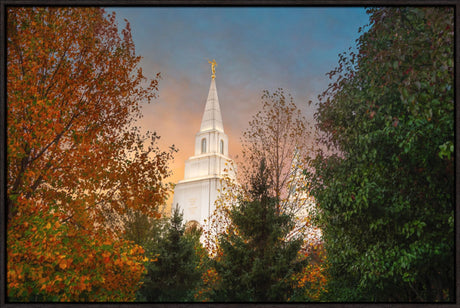 Kansas City Temple - Fall