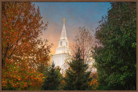 Kansas City Temple - Fall