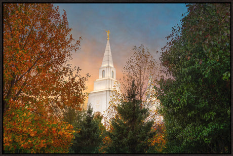 Kansas City Temple - Fall