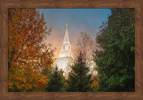 Kansas City Temple - Fall