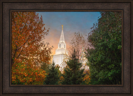 Kansas City Temple - Fall