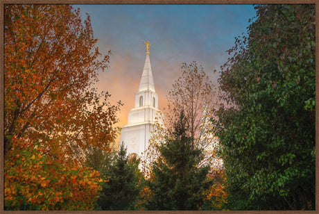 Kansas City Temple - Fall