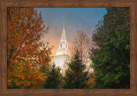 Kansas City Temple - Fall
