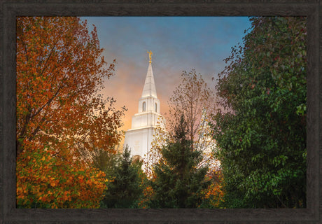 Kansas City Temple - Fall
